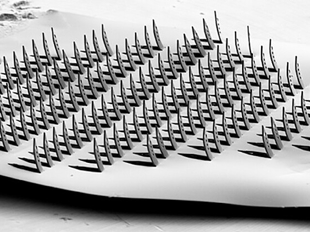 Imatge de les espigues en 3D en blanc i negre.