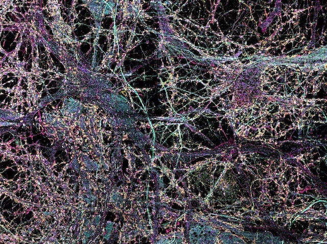 Una xarxa complexa de filaments de diversos colors amb punts